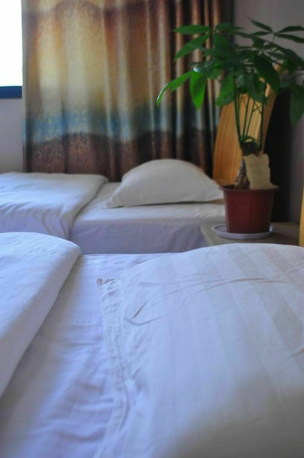 Huanlesong Youth Hostel Vuhan Dış mekan fotoğraf